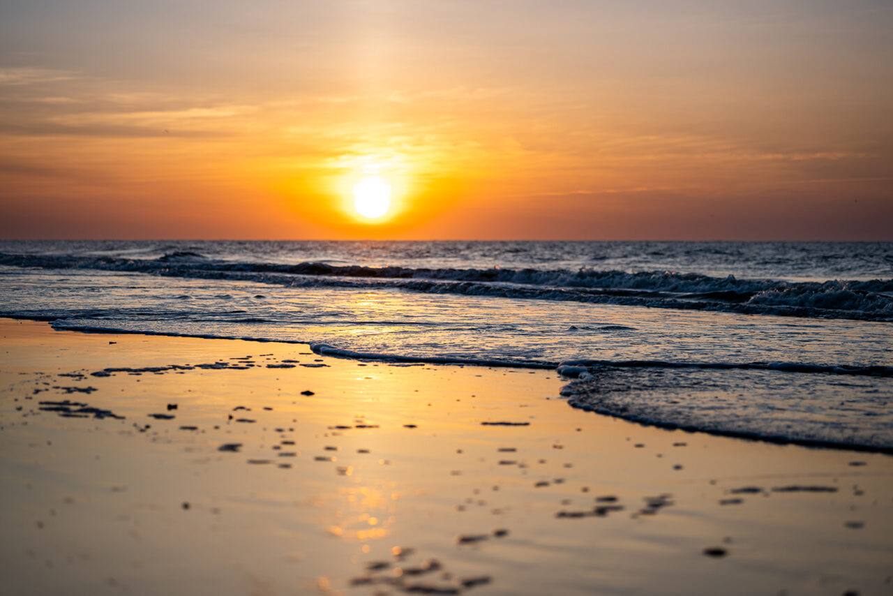 St. Simons Island | Yardstick Institute Winter 2022 | DSG Global 