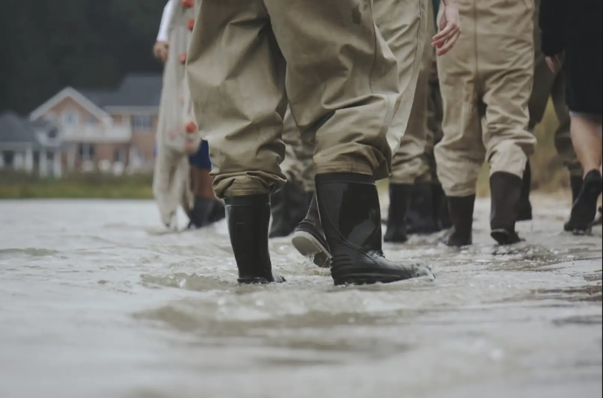 What Disaster Response Can Teach Us About Organizational Trust